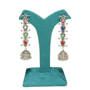 Royal Raga Multicolor Oxidized Jhumka Earrings - Image 1