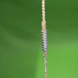Luxe Radiance Crystal Chain Bracelet - Image 2