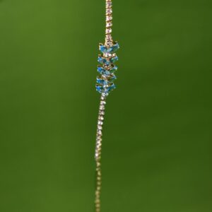 Aqua Leaf Sparkle Bracelet - Image 3